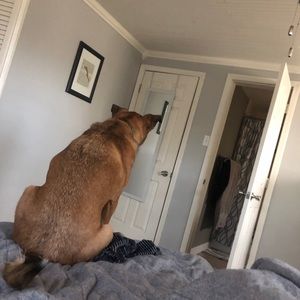 Meet your Posher, Jeremy